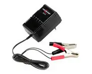 Chargeur 2v 6v 12v 24V