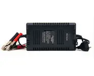 Chargeur 12 Volts 5 A à pinces