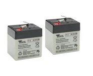 6.0 Volts 1.0Ah Pack 2 pcs Plomb